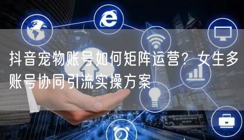 抖音宠物账号如何矩阵运营？女生多账号协同引流实操方案