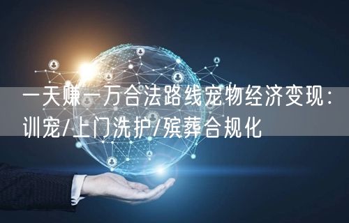 一天赚一万合法路线宠物经济变现:训宠/上门洗护/殡葬合规化