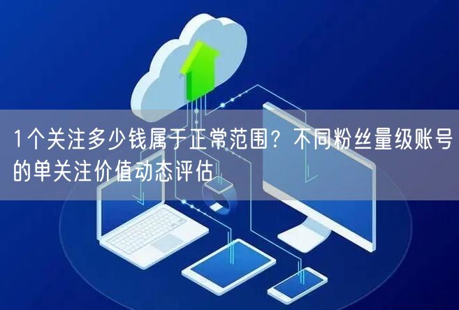 1个关注多少钱属于正常范围?不同粉丝量级账号的单关注价值动态评估
