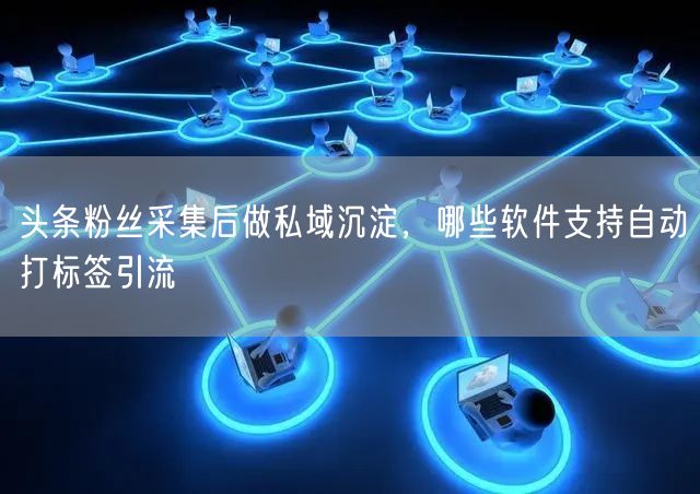 头条粉丝采集后做私域沉淀,哪些软件支持自动打标签引流