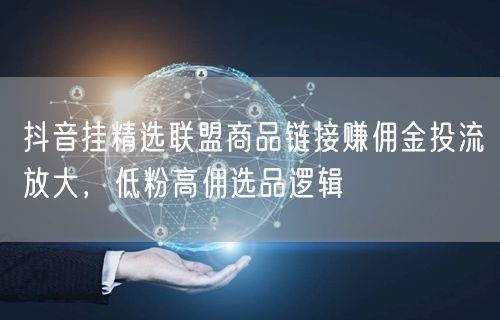 抖音挂精选联盟商品链接赚佣金投流放大,低粉高佣选品逻辑