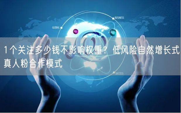 1个关注多少钱不影响权重?低风险自然增长式真人粉合作模式
