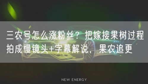 三农号怎么涨粉丝?把嫁接果树过程拍成慢镜头+字幕解说,果农追更
