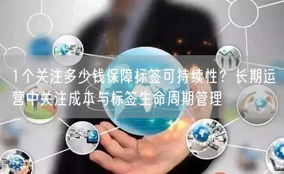 1个关注多少钱保障标签可持续性?长期运营中关注成本与标签生命周期管理