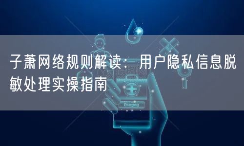 子萧网络规则解读：用户隐私信息脱敏处理实操指南