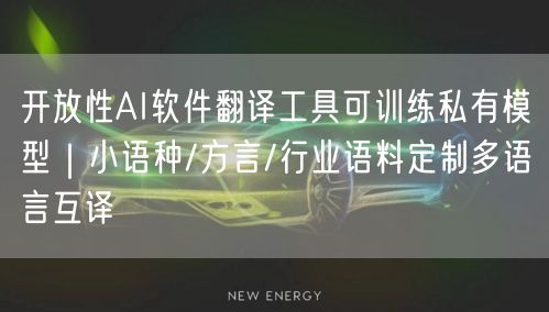 开放性AI软件翻译工具可训练私有模型|小语种/方言/行业语料定制多语言互译