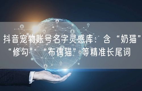 抖音宠物账号名字灵感库:含“奶猫”“修勾”“布偶猫”等精准长尾词