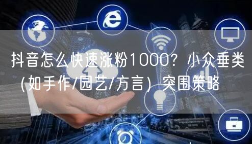 抖音怎么快速涨粉1000?小众垂类(如手作/园艺/方言)突围策略