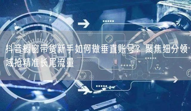 抖音橱窗带货新手如何做垂直账号?聚焦细分领域抢精准长尾流量