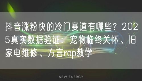 抖音涨粉快的冷门赛道有哪些？2025真实数据验证：宠物临终关怀、旧家电维修、方言