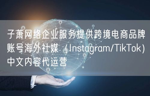子萧网络企业服务提供跨境电商品牌账号海外社媒（Instagram/TikTok）
